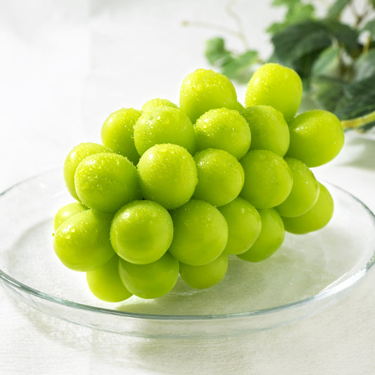 シャインマスカット濃珀~KOHAKU~ 3~5房入り1.8㎏以上