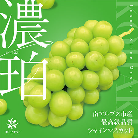 【超早割!先着20名様限定!】シャインマスカット濃珀~KOHAKU~ 2房入り1.2kg以上