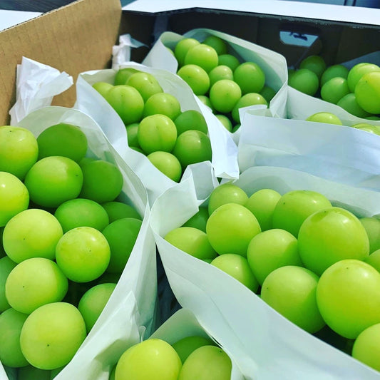 シャインマスカット2房 1.2㎏