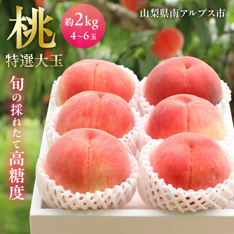 【ふるさと会】B-4 特選桃４〜６玉（約２kg）