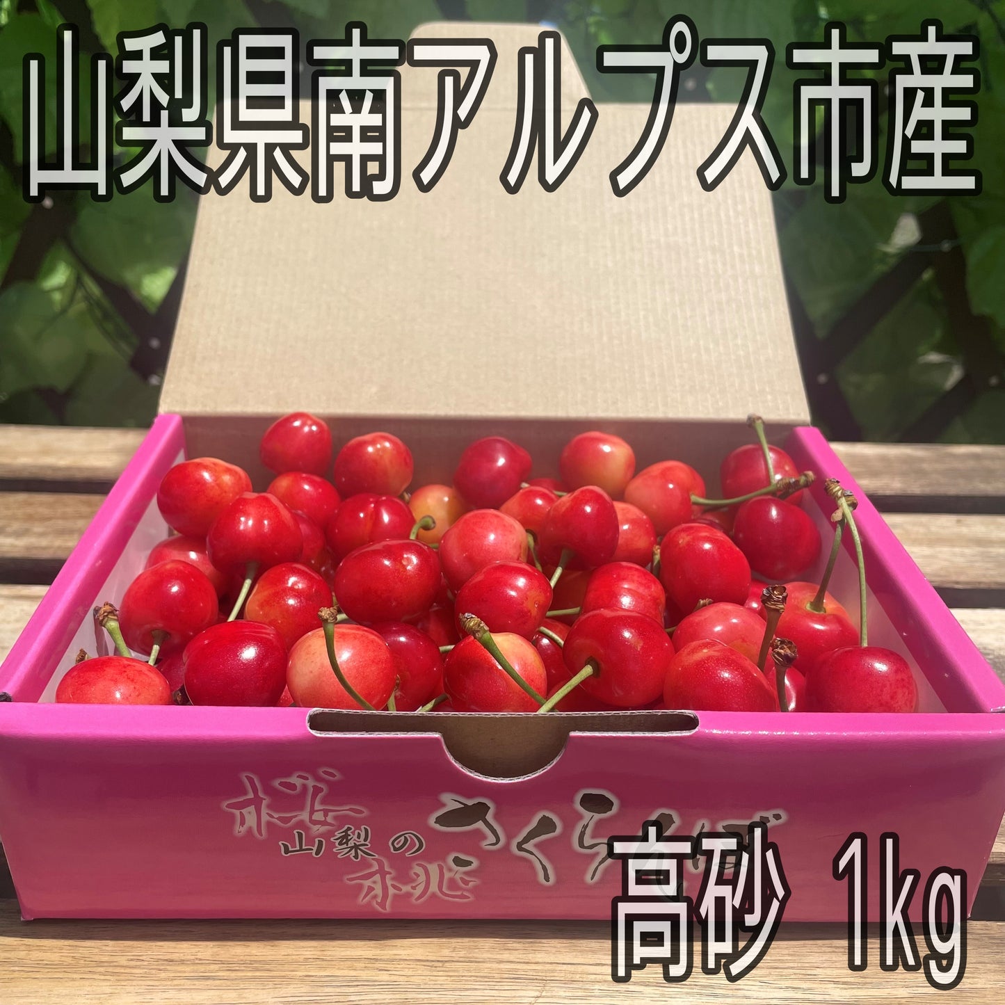 山梨県南アルプス市産　高砂　1kg　さくらんぼ　旬の果物