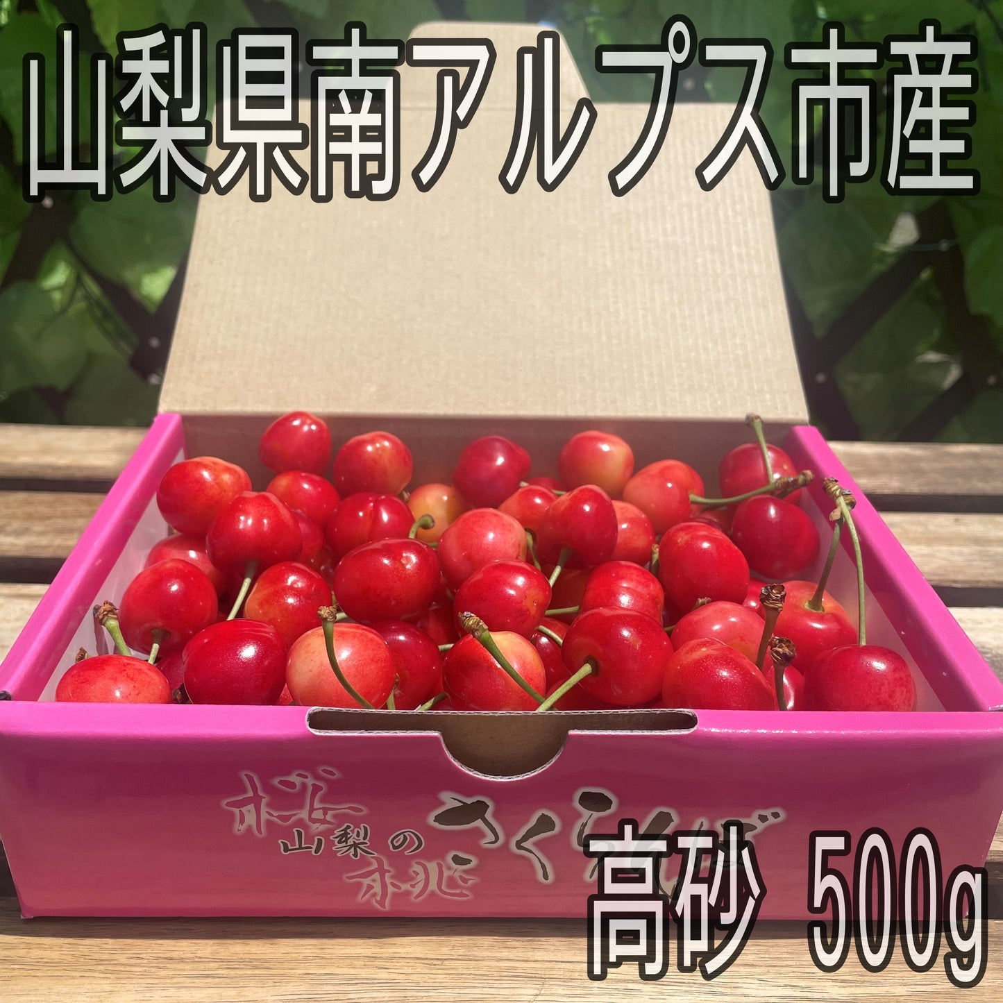 山梨県南アルプス市産　高砂　500g　さくらんぼ　旬の果物