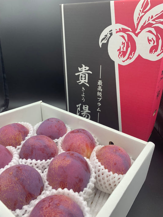貴陽　大玉　100箱限定　約１．８ｋｇ　7玉から９玉　プラム　すもも　ギフト　お中元　化粧箱