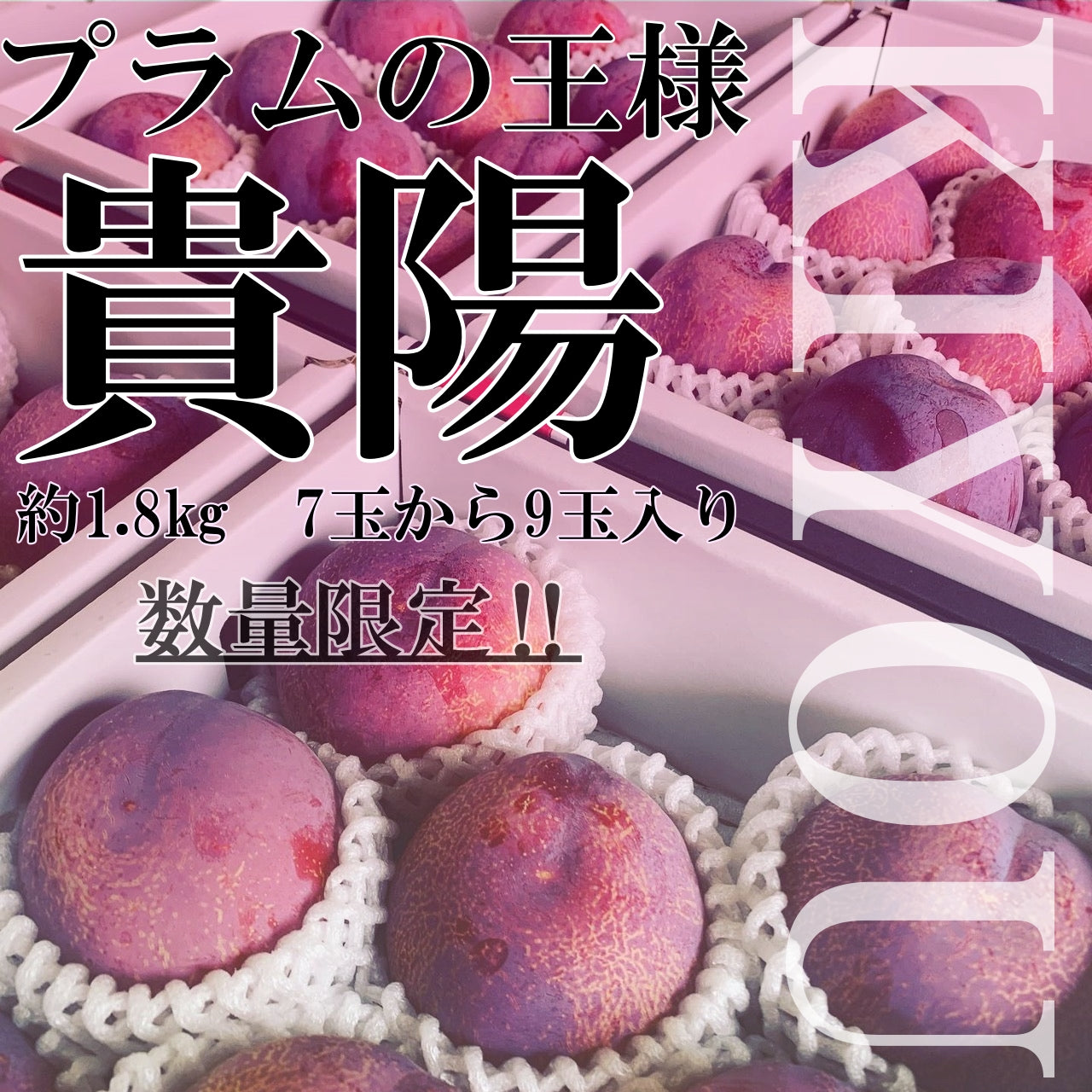貴陽　大玉　100箱限定　約１．８ｋｇ　7玉から９玉　プラム　すもも　ギフト　お中元　化粧箱